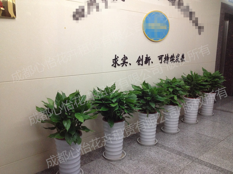 政府辦公室工作怎么樣_南京辦公室裝修_3室2廳1衛裝修效果圖