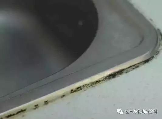 小戶型廚衛裝修_廚衛裝修圖小戶型_超小戶型裝修 15平米超小戶型