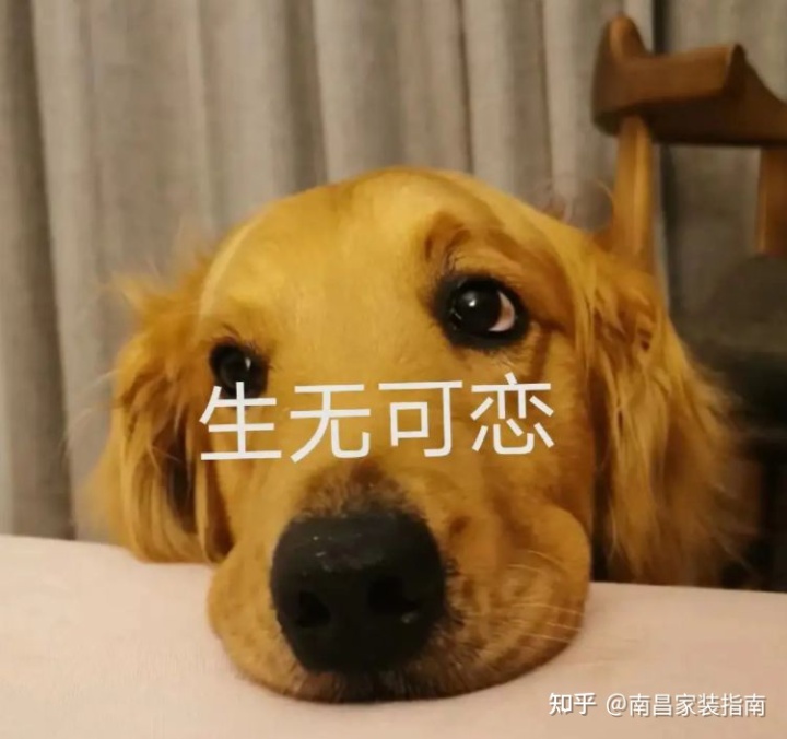 裝修需求 概述 包含_裝修需求_裝修業主需求