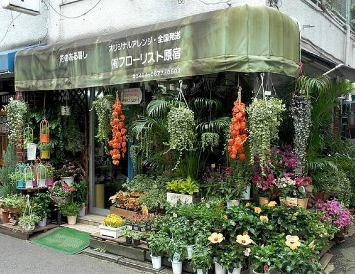 90后美女在閣樓開店鋪！房間太破，奇思妙想用各種植物來掩蓋