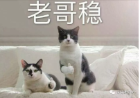 裝修節目有哪些_小戶型裝修節目_天津電視臺裝修節目