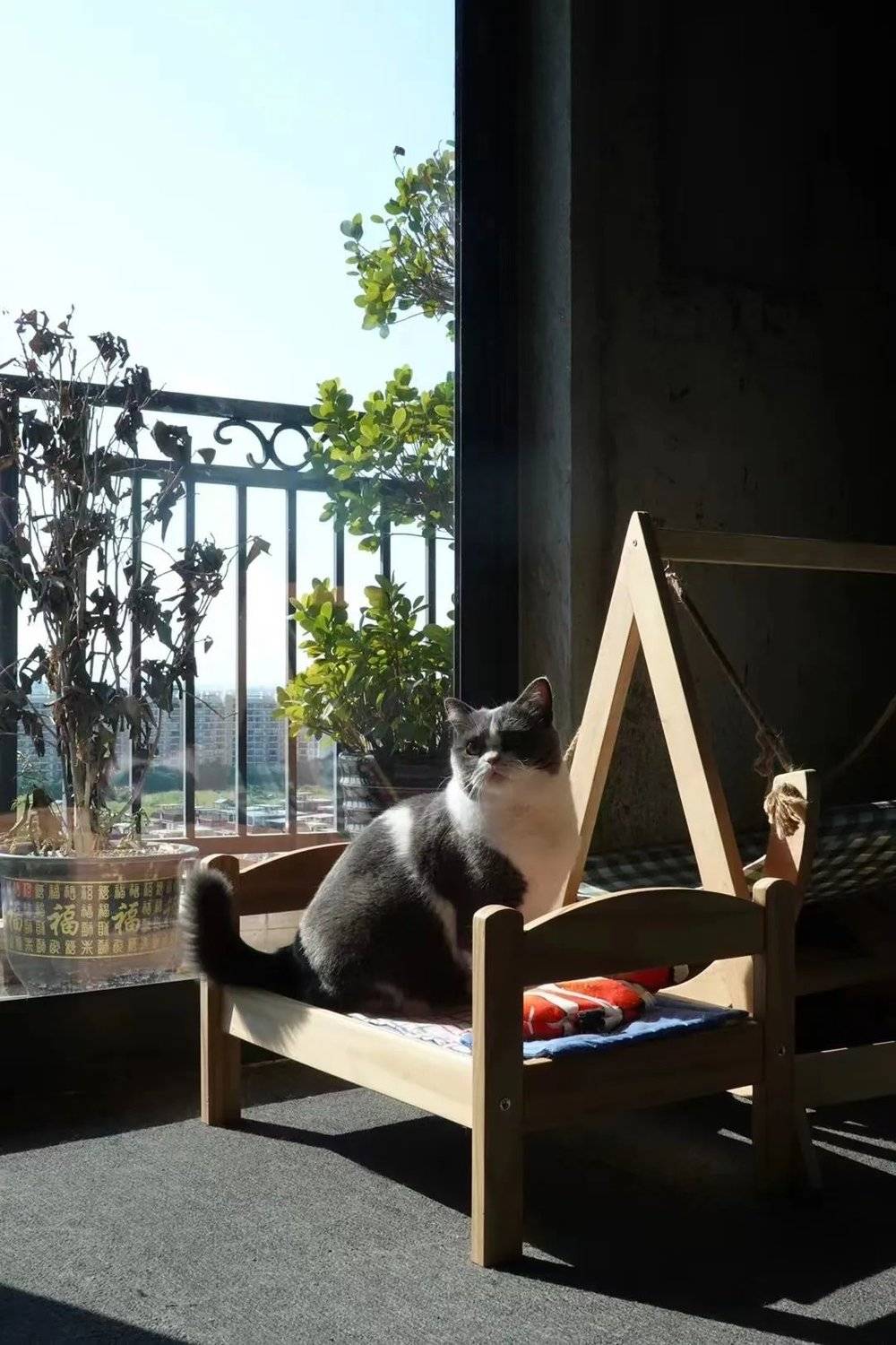 我為什么住進毛坯房？