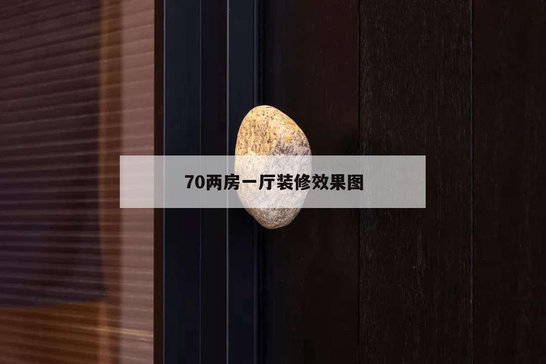 兩房一廳裝修效果圖_四合院廳裝修效果圖片_3室1廳1衛一廚裝修效果