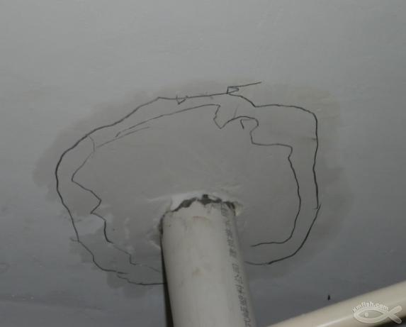 太離譜！3㎡衛生間漏水維修要8300元？