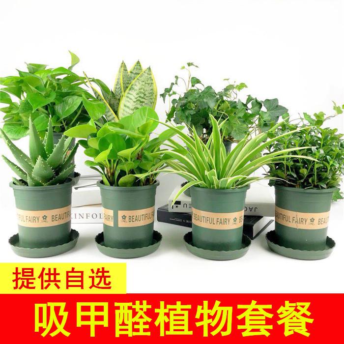 裝修除異味_怎么用醋除衛生間異味_除裝修異味的方法